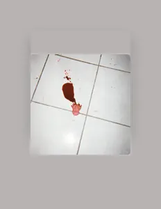 收听 bottoms、观看音乐视频、阅读小传、查看巡演日期等 ！