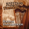 Arpas Fantasticas - Pájaro Chogui
