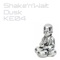 Shake'n'wait - Dusk lyrics