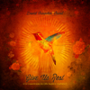 David Crowder Band - Give Us Rest Or (A Requiem Mass in C [The Happiest of All Keys])  artwork