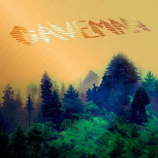 Album artwork