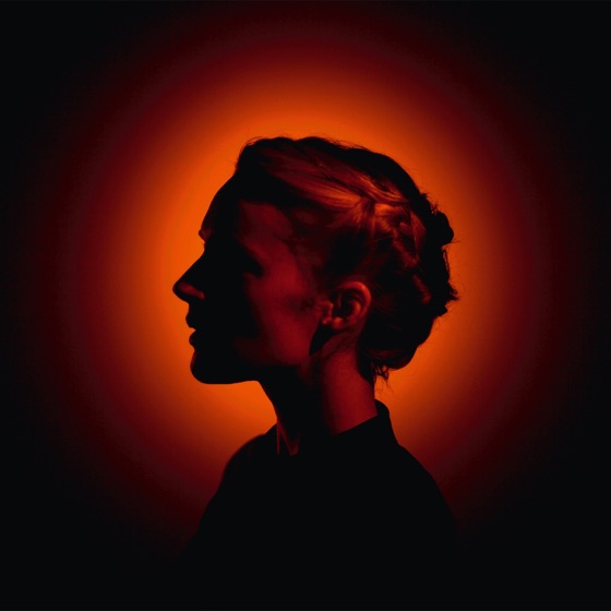 Cover artwork for Run Cried the Crawling