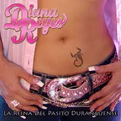 La Reina Del Pasito Duranguense - Diana Reyes