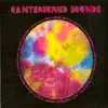 Robert Wyatt & Jimi Hendrix - Slow Walkin' Talk
