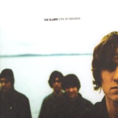 The Blamed - 1200 Stares