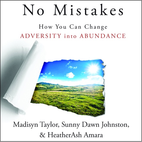 No Mistakes!: How You Can Change Adversity into Abundance (Unabridged) cover