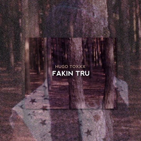 Cover artwork for Fakin Tru