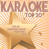 Top 20 Karaoke Dance Pop Hits 2013 - Various Artists