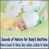 Sounds of Nature for Baby's Bedtime: Nature Sounds for Babies, Baby Lullabys, Lullabies for Babies - Robbins Island Music Group