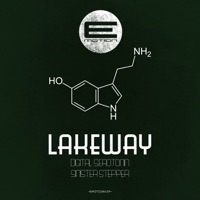 Digital Serotonin / Sinister Stepper - Single - Lakeway