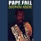 Santé - Pape Fall & L'African Salsa lyrics