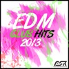 EDM Club Hits 2013 (Incl. Bonus DJ Mix By Mike Nero)