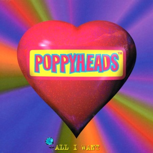 All I Want - Single