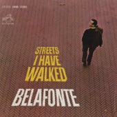 Streets I Have Walked artwork