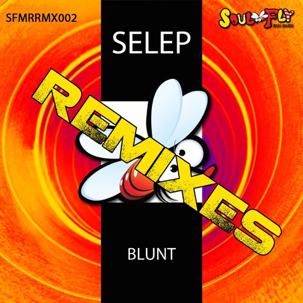Blunt Remixes - Single