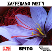 Zafferano Party (Hit Mania Spring 2014) - Spito