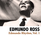 Edmundo Rhythm, Vol. 1 artwork