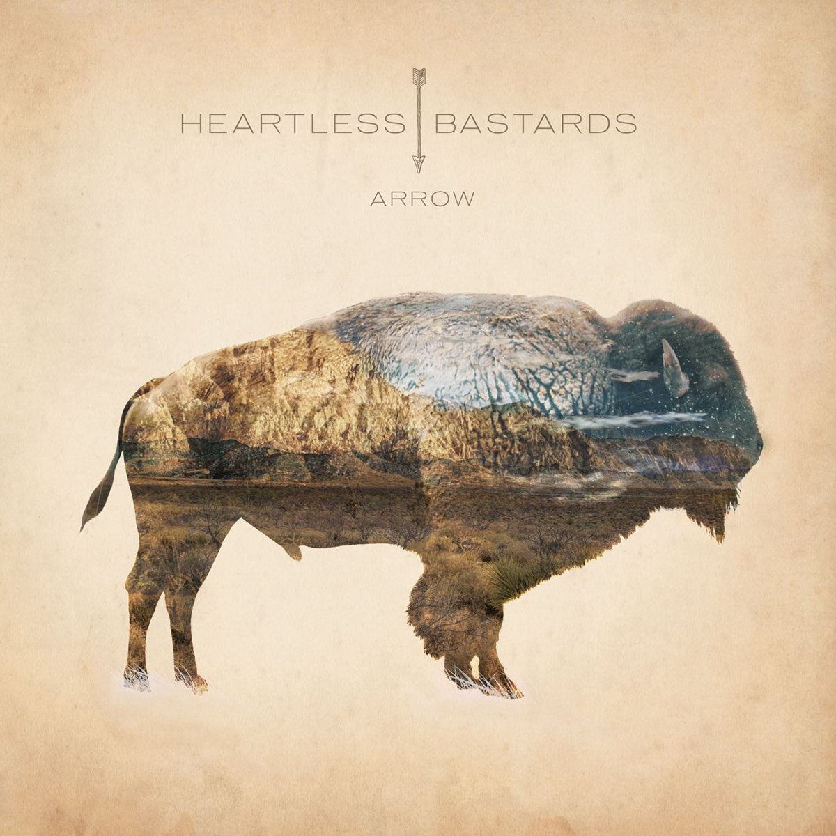 Heartless Bastards Only For You Arrow By Heartless Bastards Album Artwork Cover My Tunes Heartless Bastards Only For You Arrow By Heartless Bastards Album Artwork Cover My Tunes
