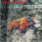 The Swimmer - Your Cannons lyrics
