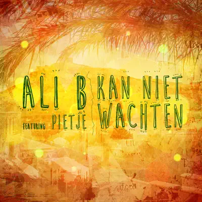 Kan Niet Wachten (feat. Pietje) - Single - Ali B