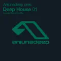 Just One More feat. Pete Josef (Martin Roth Remix)