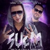 Sucia (feat. Luigi 21 Plus) - Single