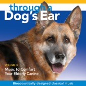 Through a Dog's Ear: Music to Comfort Your Elderly Canine, Vol. 3 artwork