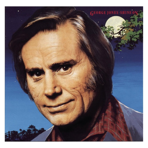 Art for Tennessee Whiskey by George Jones