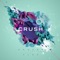 Eraser (feat. Camden Cox) - Crush lyrics