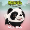 Wawah le chien panda