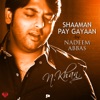 Shaaman Pay Gayaan - Single