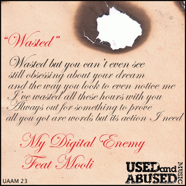 Wasted (feat. Mooli)