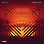 Natural Senses - EP artwork