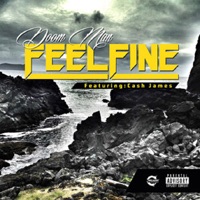Feel Fine (feat. Cash James) - Single - Doom Man