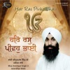 Bhai Amritpal Singh - Ja Tu Mere Val Hai