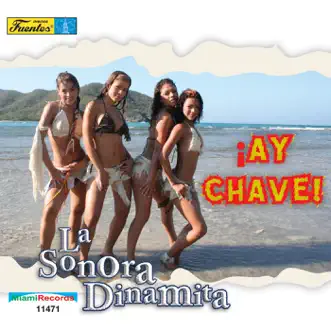 El Tizon by La Sonora Dinamita song reviws