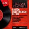 Orchestre Symphonique Divertimento  