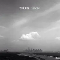 Cold Afternoon — The Dig