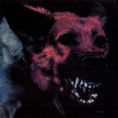 Protomartyr - I Stare at Floors