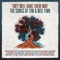 Addicted - Paul Dempsey lyrics