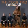 The Cook Trio - Anything Goes