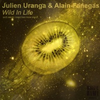 Wild in Life - Single - Julien Uranga, Alain Fanegas & Flashers