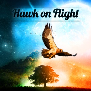 Hawk on Flight (feat. Lars Jansson, Ulf Wakenius, Matz Nilsson & Raymond Karlsson)