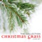 Tennessee Christmas - Rhonda Vincent lyrics
