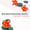 Spa Background Music Wellness Collection (Background Music for Spa) - Spa Music Masters