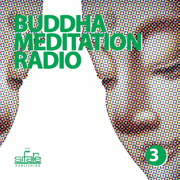 Buddha Meditation Radio, Vol. 3 (Relaxation and Wellness Music)