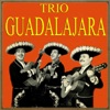 Trío Guadalajara - El Vaiven del Tren