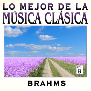 Symphony No.1 in C Minor, Op.68: Andante Sostenuto (Excerpt)