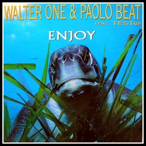 Enjoy (feat. Test@) - Single