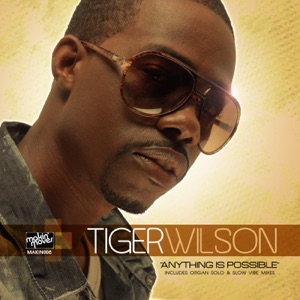 Anything Is Possible - EP